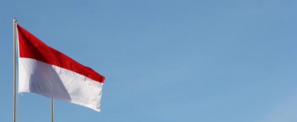 main_img