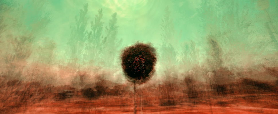 main_img